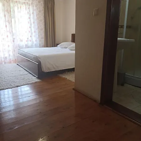 Pensiunea Sofy بيت ضيافة 3*