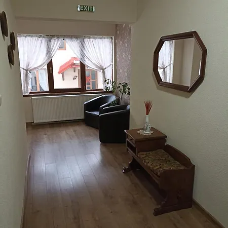 Pensiunea Sofy Guest house